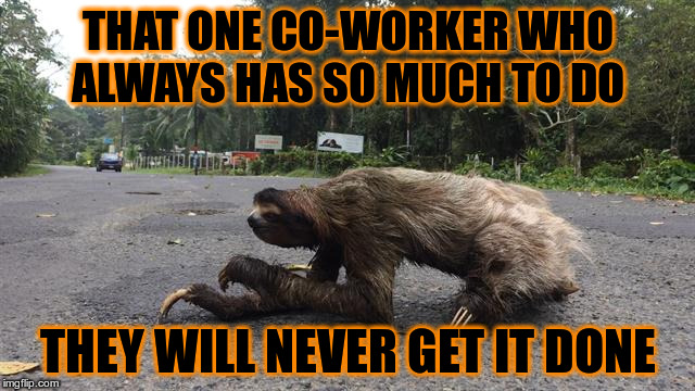 Lazy Co-Workes | THAT ONE CO-WORKER
WHO ALWAYS HAS SO MUCH TO DO; THEY WILL NEVER GET IT DONE | image tagged in lazy,co-workers | made w/ Imgflip meme maker