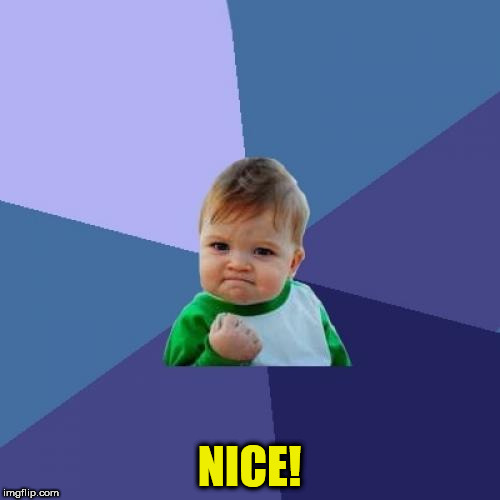 Success Kid Meme | NICE! | image tagged in memes,success kid | made w/ Imgflip meme maker