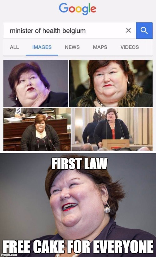 Minister of health belgium | FIRST LAW; FREE CAKE FOR EVERYONE | image tagged in health care,health,healthcare,politics,belgium,cake | made w/ Imgflip meme maker