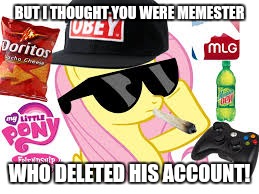 MLG Pony | BUT I THOUGHT YOU WERE MEMESTER WHO DELETED HIS ACCOUNT! | image tagged in mlg pony | made w/ Imgflip meme maker