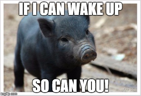 BlackPigs | IF I CAN WAKE UP; SO CAN YOU! | image tagged in blackpigs | made w/ Imgflip meme maker