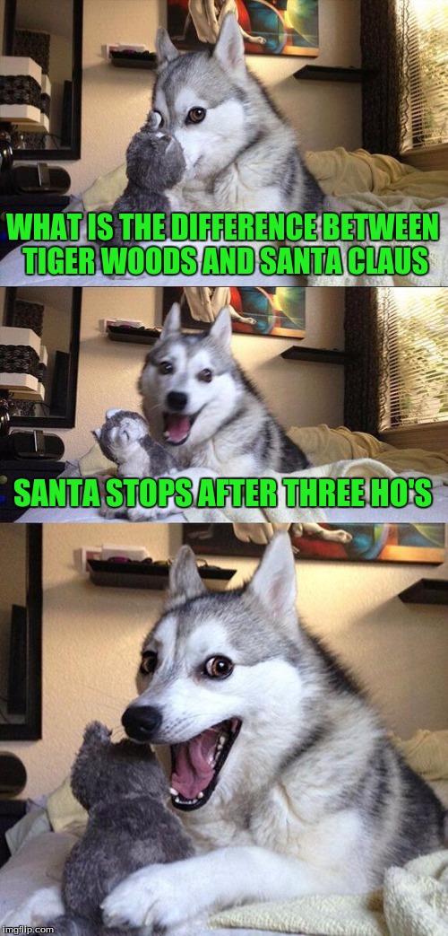 Bad Pun Dog | WHAT IS THE DIFFERENCE BETWEEN TIGER WOODS AND SANTA CLAUS; SANTA STOPS AFTER THREE HO'S | image tagged in memes,bad pun dog | made w/ Imgflip meme maker