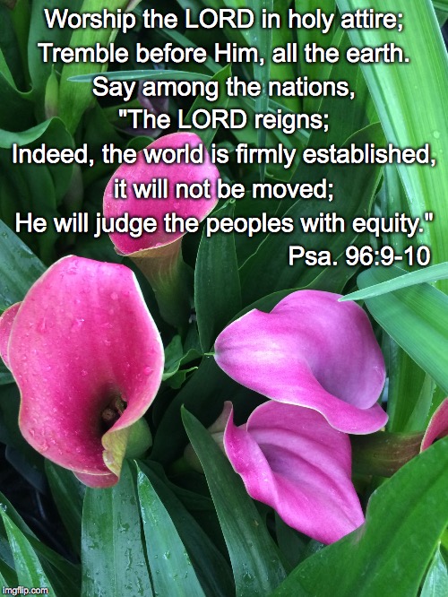 Worship the LORD in holy attire;; Tremble before Him, all the earth. Say among the nations, "The LORD reigns;; Indeed, the world is firmly established, it will not be moved;; He will judge the peoples with equity."; Psa. 96:9-10 | image tagged in holy attire | made w/ Imgflip meme maker