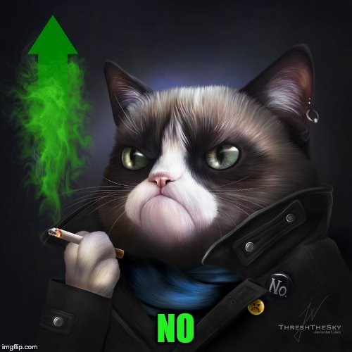 NO | made w/ Imgflip meme maker