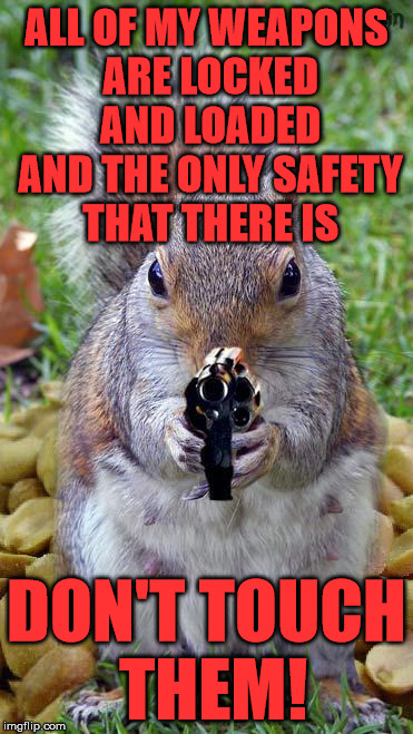 funny squirrels with guns (5) | ALL OF MY WEAPONS ARE LOCKED AND LOADED AND THE ONLY SAFETY THAT THERE IS; DON'T TOUCH THEM! | image tagged in funny squirrels with guns 5 | made w/ Imgflip meme maker