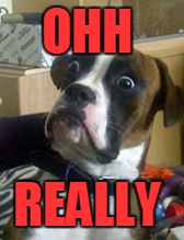 Dogs | OHH; REALLY | image tagged in dogs | made w/ Imgflip meme maker