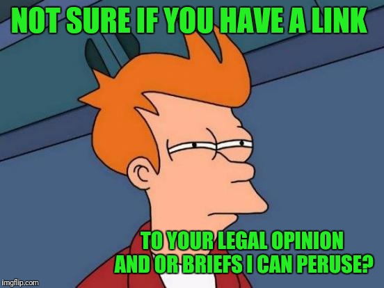 Futurama Fry Meme | NOT SURE IF YOU HAVE A LINK TO YOUR LEGAL OPINION AND OR BRIEFS I CAN PERUSE? | image tagged in memes,futurama fry | made w/ Imgflip meme maker