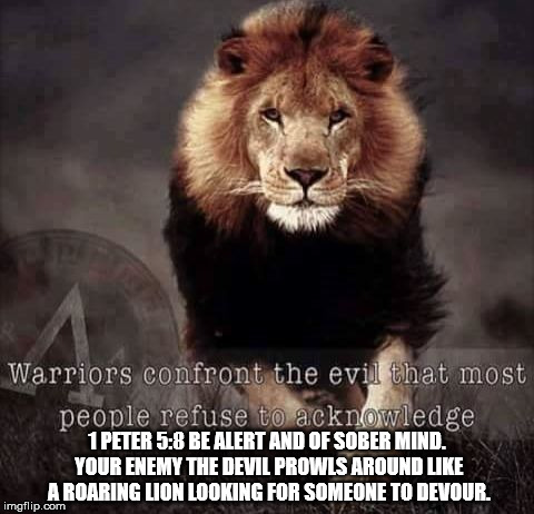 The Devil | 1 PETER 5:8 BE ALERT AND OF SOBER MIND. YOUR ENEMY THE DEVIL PROWLS AROUND LIKE A ROARING LION LOOKING FOR SOMEONE TO DEVOUR. | image tagged in lion,1 peter 5 8,the devil,religion | made w/ Imgflip meme maker