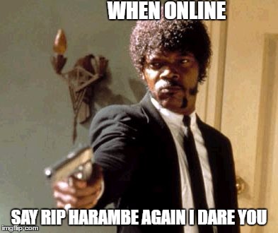 Say That Again I Dare You Meme | WHEN ONLINE; SAY RIP HARAMBE AGAIN I DARE YOU | image tagged in memes,say that again i dare you | made w/ Imgflip meme maker