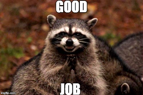 Evil Plotting Raccoon | GOOD; JOB | image tagged in memes,evil plotting raccoon | made w/ Imgflip meme maker