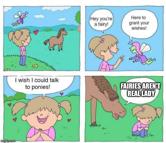 Talk to Ponies | FAIRIES AREN'T REAL LADY | image tagged in talk to ponies | made w/ Imgflip meme maker
