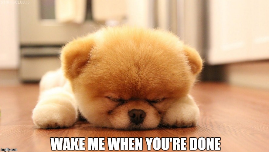 Sleeping dog | WAKE ME WHEN YOU'RE DONE | image tagged in sleeping dog | made w/ Imgflip meme maker