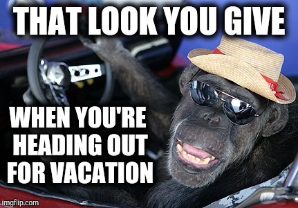 Looking forward to a good one this year | THAT LOOK YOU GIVE; WHEN YOU'RE HEADING OUT FOR VACATION | image tagged in monkey driver,vacation,the look you give | made w/ Imgflip meme maker