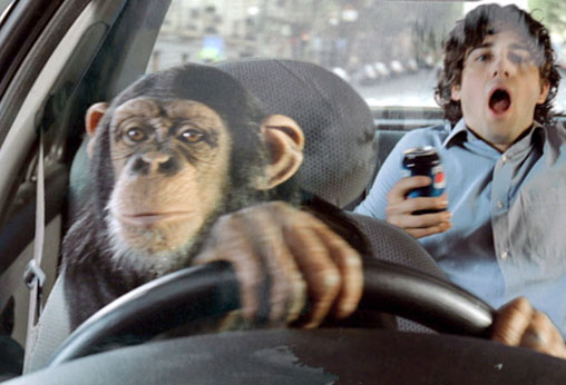 Monkey cab driver Blank Meme Template