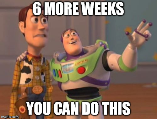 X, X Everywhere Meme | 6 MORE WEEKS YOU CAN DO THIS | image tagged in memes,x x everywhere | made w/ Imgflip meme maker