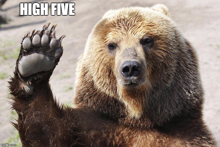 High Five Bear | HIGH FIVE | image tagged in high five bear | made w/ Imgflip meme maker