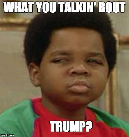 What you talkin' bout Trump? | WHAT YOU TALKIN' BOUT; TRUMP? | image tagged in trump lies,wtf,say what,surely you can't be serious | made w/ Imgflip meme maker
