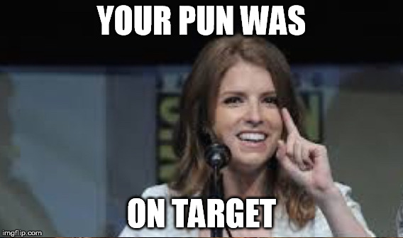 YOUR PUN WAS ON TARGET | made w/ Imgflip meme maker