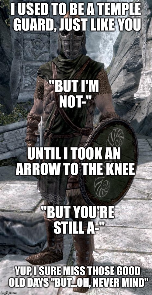 Skyrim Guard | I USED TO BE A TEMPLE GUARD, JUST LIKE YOU; "BUT I'M NOT-"; UNTIL I TOOK AN ARROW TO THE KNEE; "BUT YOU'RE STILL A-"; YUP, I SURE MISS THOSE GOOD OLD DAYS "BUT...OH, NEVER MIND" | image tagged in skyrim guard | made w/ Imgflip meme maker