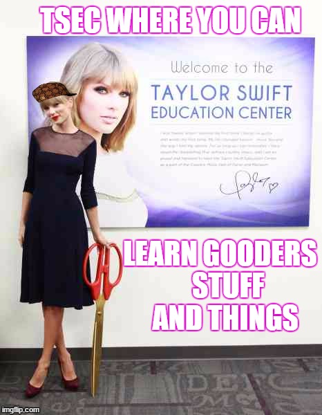  TSEC WHERE YOU CAN; LEARN GOODERS 
     STUFF       AND THINGS | image tagged in taylorswift,scumbag | made w/ Imgflip meme maker