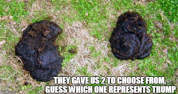 Two Turds | THEY GAVE US 2 TO CHOOSE FROM, GUESS WHICH ONE REPRESENTS TRUMP | image tagged in two turds | made w/ Imgflip meme maker