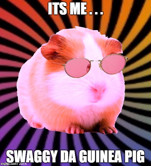 Swaggy the guinea pig | ITS ME . . . SWAGGY DA GUINEA PIG | image tagged in swaggy the guinea pig | made w/ Imgflip meme maker