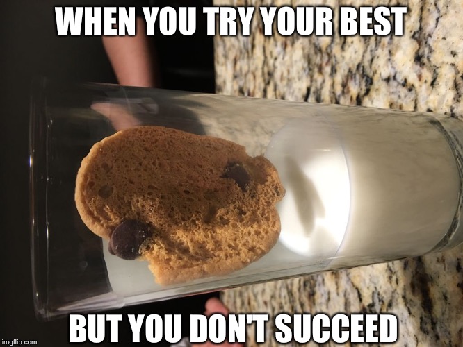 WHEN YOU TRY YOUR BEST; BUT YOU DON'T SUCCEED | image tagged in tried your best | made w/ Imgflip meme maker