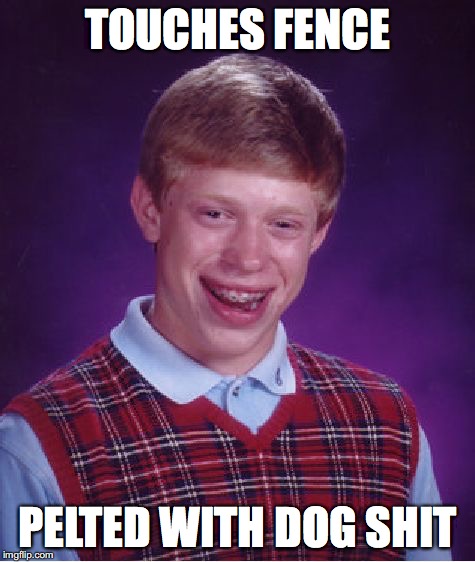 Bad Luck Brian Meme | TOUCHES FENCE PELTED WITH DOG SHIT | image tagged in memes,bad luck brian | made w/ Imgflip meme maker
