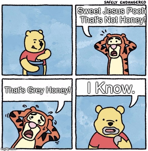 some anti-meme i made  | Sweet Jesus Pooh That's Not Honey! I Know. That's Grey Honey! | image tagged in sweet jesus pooh | made w/ Imgflip meme maker