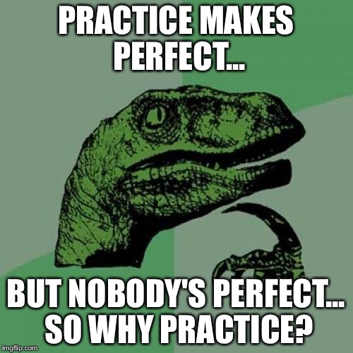 Philosoraptor | PRACTICE MAKES PERFECT... BUT NOBODY'S PERFECT... SO WHY PRACTICE? | image tagged in memes,philosoraptor | made w/ Imgflip meme maker