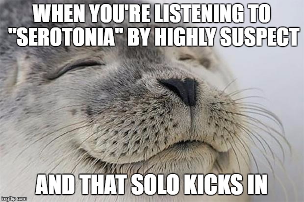 Satisfied Seal Meme | WHEN YOU'RE LISTENING TO "SEROTONIA" BY HIGHLY SUSPECT; AND THAT SOLO KICKS IN | image tagged in memes,satisfied seal,highly suspect | made w/ Imgflip meme maker