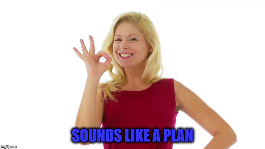 SOUNDS LIKE A PLAN | made w/ Imgflip meme maker