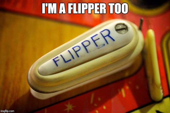 I'M A FLIPPER TOO | made w/ Imgflip meme maker