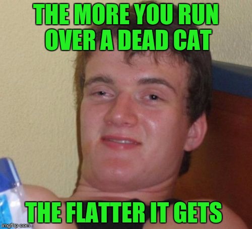10 Guy Meme | THE MORE YOU RUN OVER A DEAD CAT; THE FLATTER IT GETS | image tagged in memes,10 guy | made w/ Imgflip meme maker