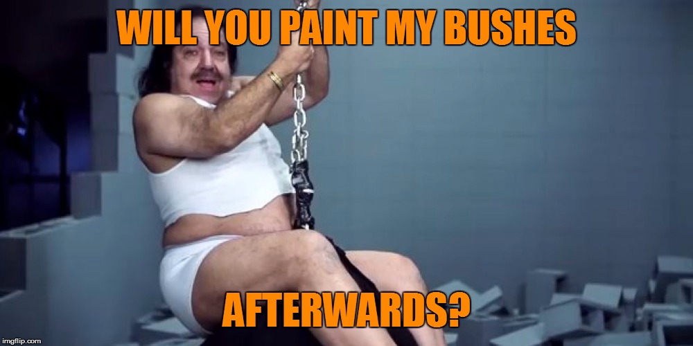 WILL YOU PAINT MY BUSHES AFTERWARDS? | made w/ Imgflip meme maker