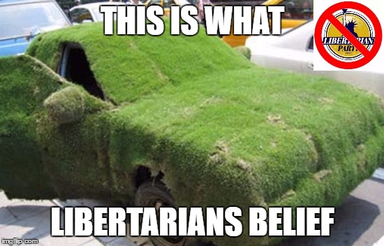 This Is What Libertarians Believe | THIS IS WHAT; LIBERTARIANS BELIEF | image tagged in this is what libertarians believe,libertarian,party,car,grass,memes | made w/ Imgflip meme maker
