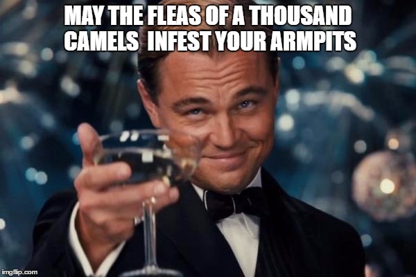 Leonardo Dicaprio Cheers Meme | MAY THE FLEAS OF A THOUSAND CAMELS 
INFEST YOUR ARMPITS | image tagged in memes,leonardo dicaprio cheers | made w/ Imgflip meme maker