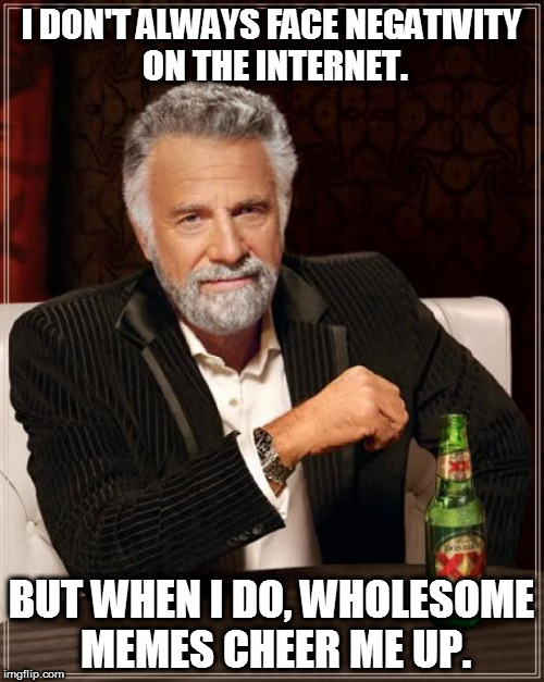 The Most Interesting Man In The World Meme | I DON'T ALWAYS FACE NEGATIVITY ON THE INTERNET. BUT WHEN I DO, WHOLESOME MEMES CHEER ME UP. | image tagged in memes,the most interesting man in the world,wholesomememes | made w/ Imgflip meme maker