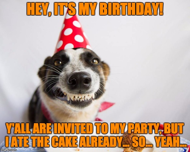 Unfortunately, I'll be in class all day, so I won't be able to make any comments, but it'll be a good birthday, nonetheless | HEY, IT'S MY BIRTHDAY! Y'ALL ARE INVITED TO MY PARTY, BUT I ATE THE CAKE ALREADY... SO... YEAH... | image tagged in memes,nemoneem1221,happy birthday,dog | made w/ Imgflip meme maker