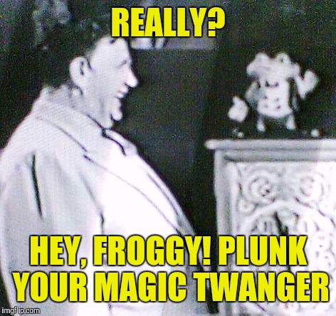 REALLY? HEY, FROGGY! PLUNK YOUR MAGIC TWANGER | made w/ Imgflip meme maker