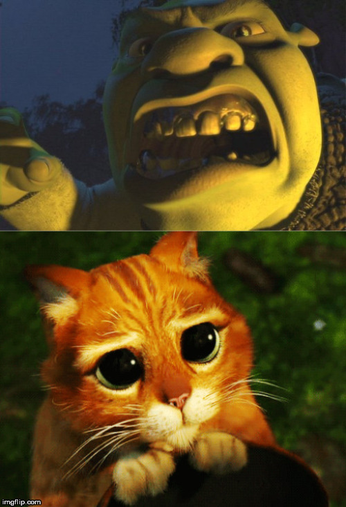 Mad & Sad Face image tagged in shrek,puss in boots,mad,sad eyez,eyes ma...