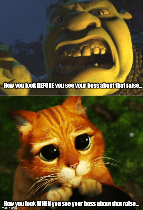 Boss Raise | How you look BEFORE you see your boss about that raise... How you look WHEN you see your boss about that raise... | image tagged in shrek,puss in boots | made w/ Imgflip meme maker