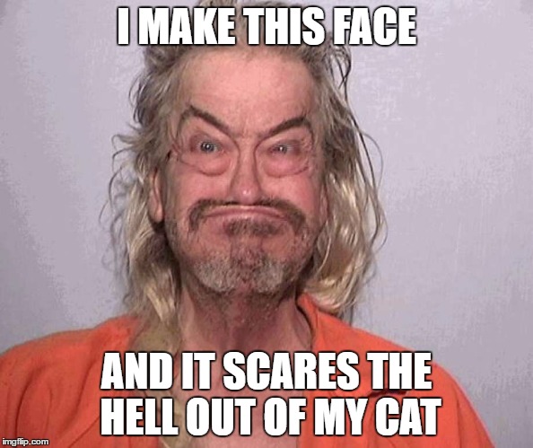 bobaboi | I MAKE THIS FACE; AND IT SCARES THE HELL OUT OF MY CAT | image tagged in memes,jail,mugshot,trailer park boys,donald trump | made w/ Imgflip meme maker