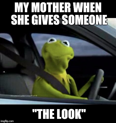 Kermit Driving | MY MOTHER WHEN SHE GIVES SOMEONE; "THE LOOK" | image tagged in kermit driving | made w/ Imgflip meme maker