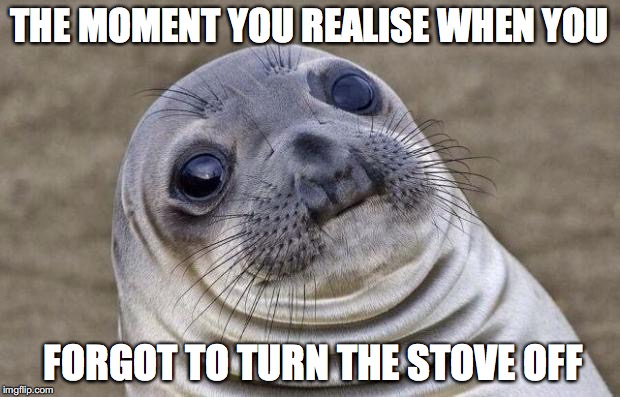 Awkward Moment Sealion Meme | THE MOMENT YOU REALISE WHEN YOU; FORGOT TO TURN THE STOVE OFF | image tagged in memes,awkward moment sealion | made w/ Imgflip meme maker