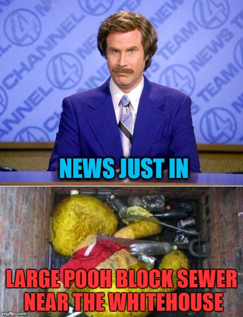 Pooh News | NEWS JUST IN; LARGE POOH BLOCK SEWER NEAR THE WHITEHOUSE | image tagged in news,memes,pooh,funny,white house | made w/ Imgflip meme maker