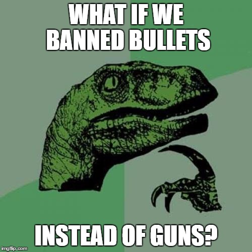 Philosoraptor | WHAT IF WE BANNED BULLETS; INSTEAD OF GUNS? | image tagged in memes,philosoraptor | made w/ Imgflip meme maker