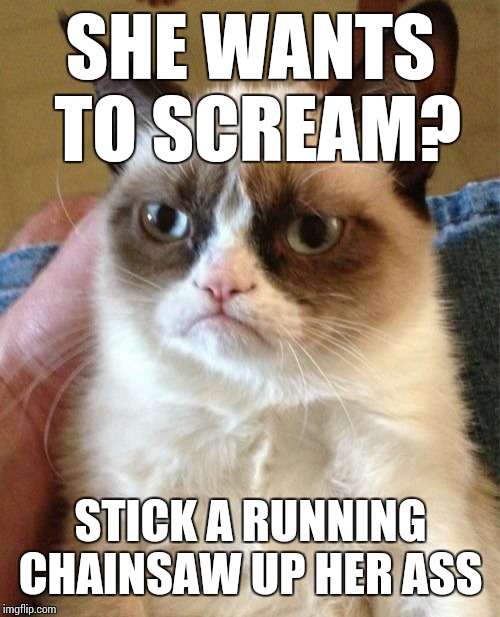 Grumpy Cat Meme | SHE WANTS TO SCREAM? STICK A RUNNING CHAINSAW UP HER ASS | image tagged in memes,grumpy cat | made w/ Imgflip meme maker