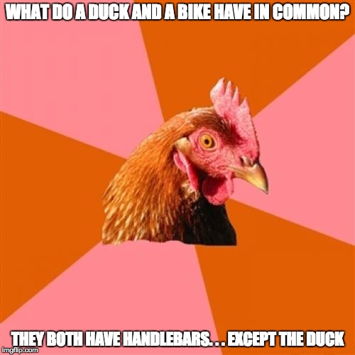 Anti Joke Chicken Meme | WHAT DO A DUCK AND A BIKE HAVE IN COMMON? THEY BOTH HAVE HANDLEBARS. . . EXCEPT THE DUCK | image tagged in memes,anti joke chicken | made w/ Imgflip meme maker