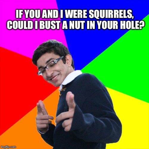 Subtle Pickup Liner | IF YOU AND I WERE SQUIRRELS, COULD I BUST A NUT IN YOUR HOLE? | image tagged in memes,subtle pickup liner | made w/ Imgflip meme maker